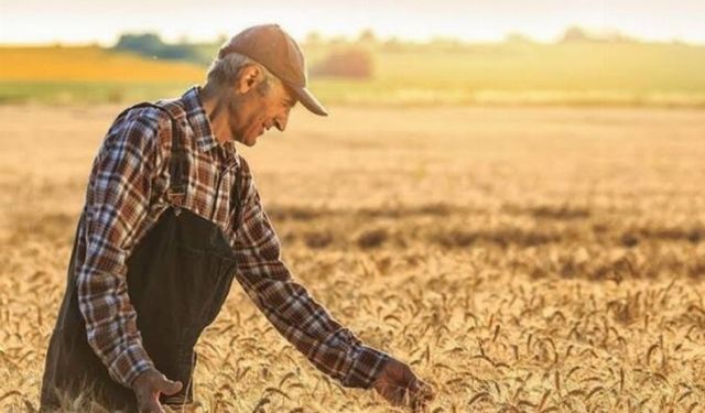 TÜİK, Tarımsal Girdi Fiyat Endeksi'ni açıkladı