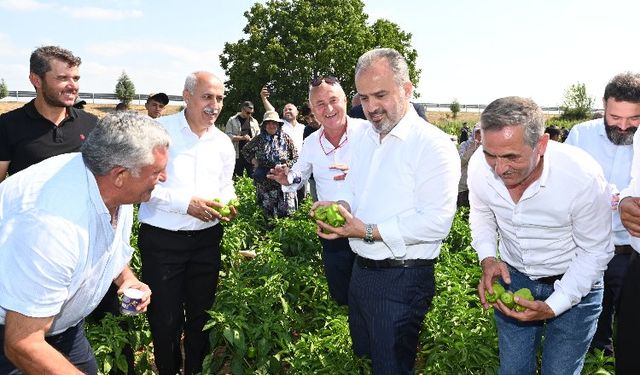 'Yenişehir Biberi' de tescili aldı... Bursa'nın tescilli ürünleri 24'e çıktı