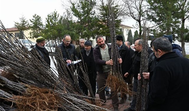 Konya'dan 50 milyon liralık tarımsal destek