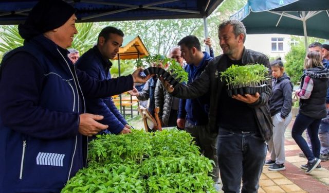 Ücretsiz fideyi alan tarlaya koştu