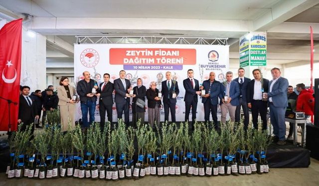 Zeytin üreticisine fidan desteği