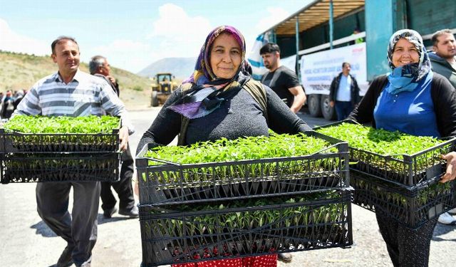 Depremzede çiftçilere 2 milyon fide hibe