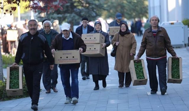 Kayseri Kocasinan'da organik etkinlik