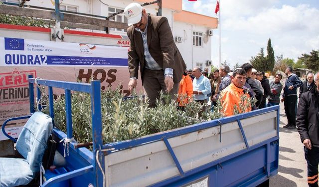 Üreticilere zeytin fidanı desteği