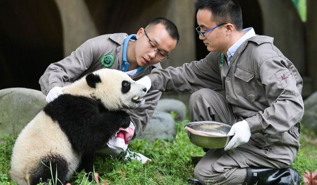 Chengdu- İstanbul uçuşları yeniden başlıyor