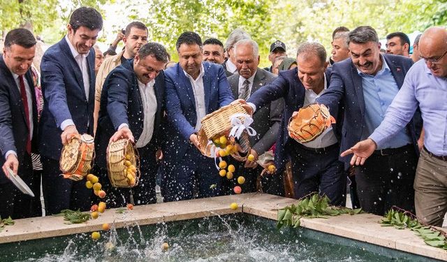 Kayısı Festivali ekonomiye katkı sağlıyor