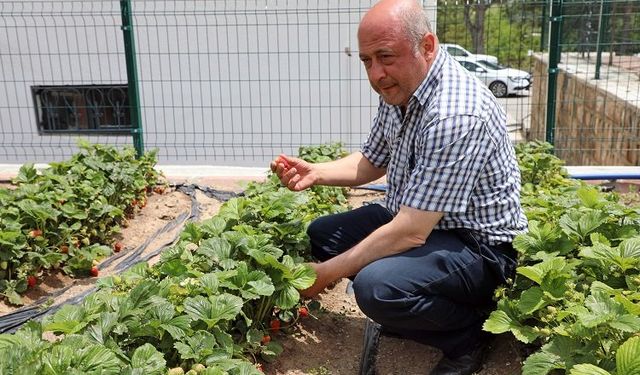 Kayseri Talas'tan deneme bahçelerine teşvik