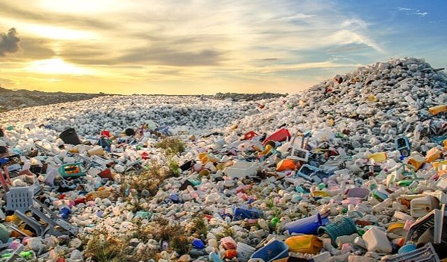 Plastikler anne karnına, insan kanına kadar girdi!