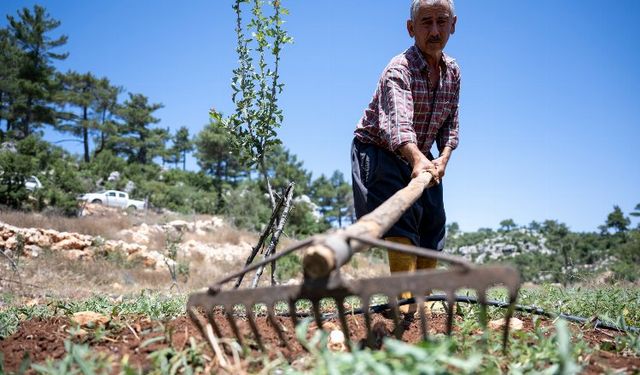 Büyükşehir desteğiyle çiftçinin yüzü gülüyor