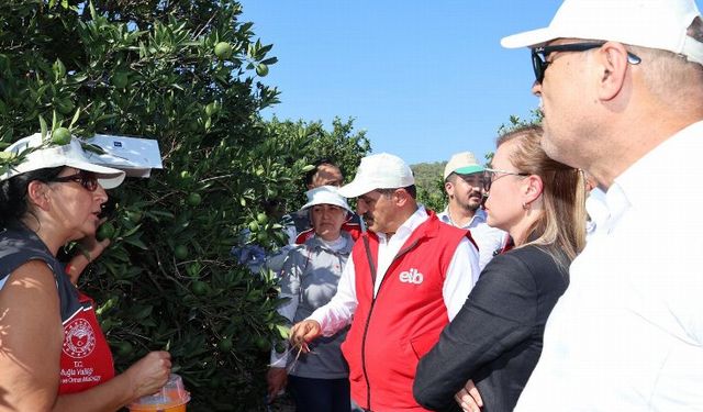 Ege ihracatçıları 'iyi tarım uyguamalarını' Muğla'da sürdürdü