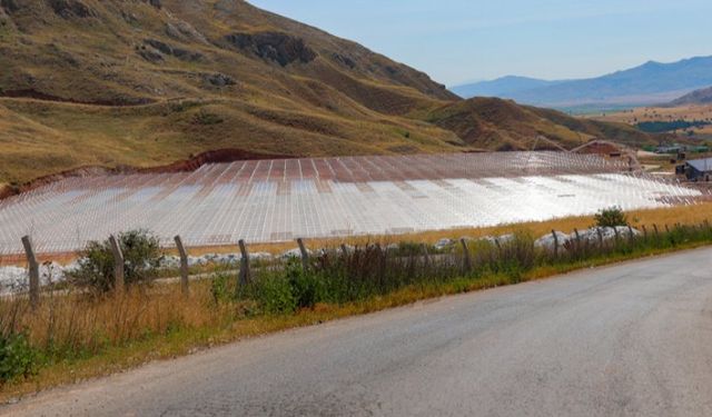 Sivas'ın cam serasında sona doğru