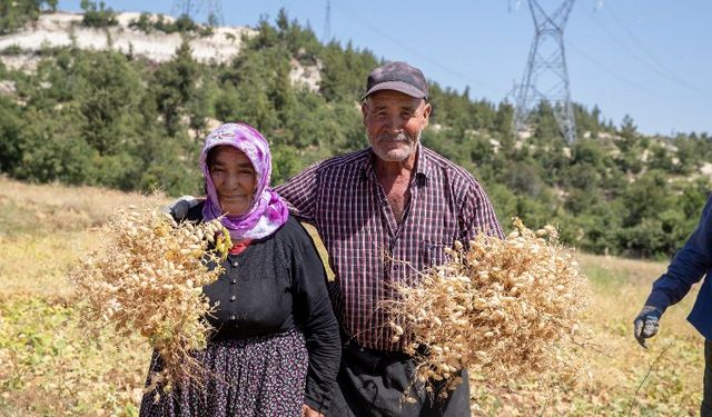 Büyükşehir'den toprağa bereket desteği