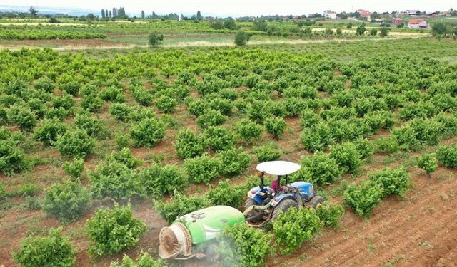 Çiftçiye toprak analiz desteği