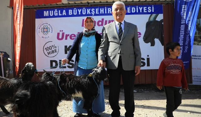 Muğla 'Kıl Keçisi' desteğini sürdürüyor