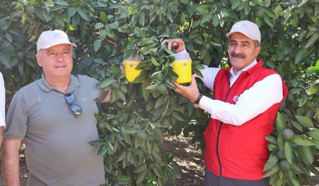 Egeli ihracatçılardan sürdürülebilir üretim için seferberlik