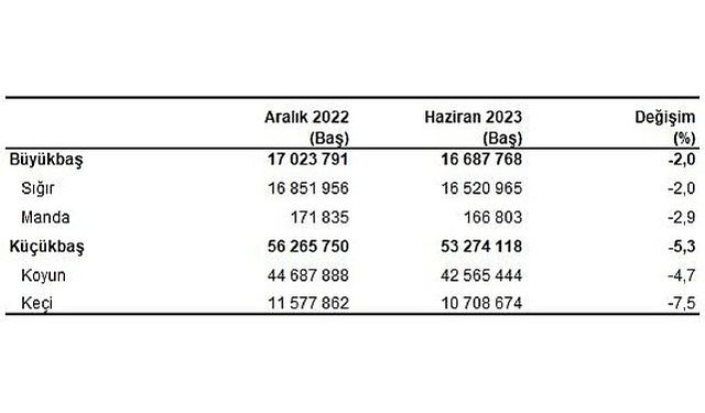 Büyükbaş hayvan sayısı 2023 yılı Haziran ayında 16 milyon 688 bin baş oldu