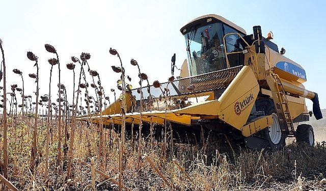 Mudanya Belediyesi Dayanışmayı Tarımla Büyütüyor