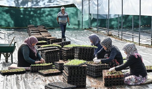 Kelesli çiftçiler üretiyor, Bursa kazanıyor