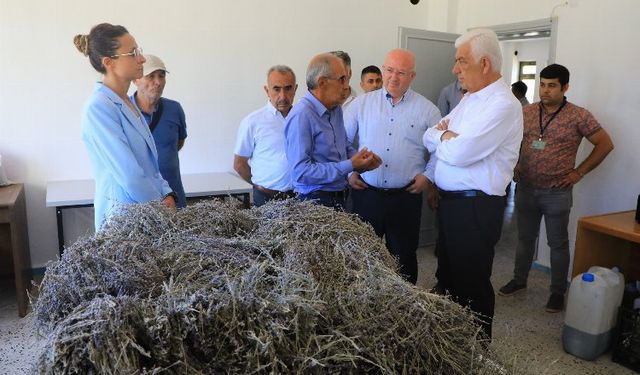 Muğla’da 'tarımsal güçbirliği' üreticiye kazandırıyor