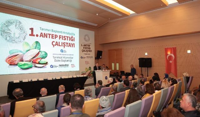 Antalya Antep fıstığına dönüyor