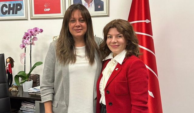 CHP'li Sol'dan Ankara çıkarması