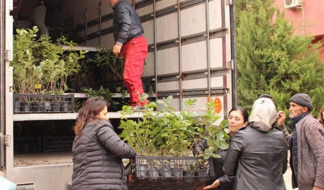 Çiftçilere aronya desteği