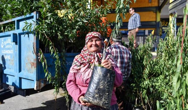 Çiftçiye badem fidanı desteği