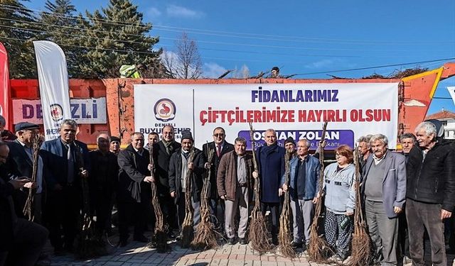 Cevizin merkezi Denizli olacak