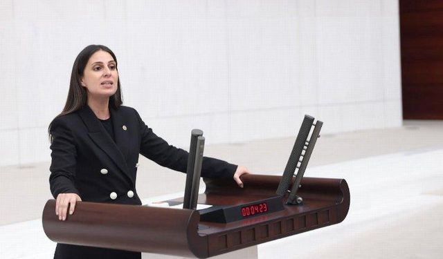 CHP'li Özcan: "Muğla, turist sayısına göre merkezi bütçeden pay almalıdır"