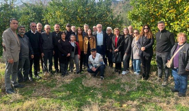 Muğla Milletvekili Özcan: "Bu sene limon dalında kaldı"