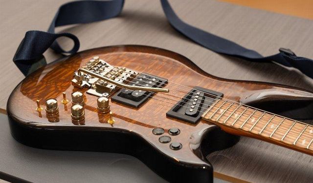 Shark Gitar 2,5 milyon Euro yatırım aldı