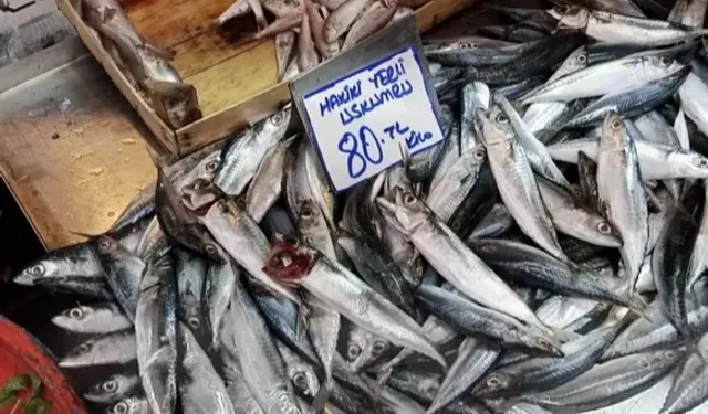 Bursa Tuz Pazarı’nda balık sezonu yoğunluğu başladı