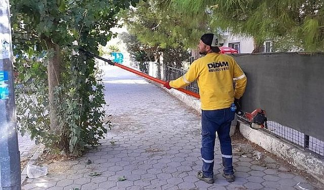 Didim’de Ağaç Budama Çalışmaları Sürüyor