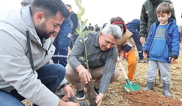 Kandıra’da 1.500 Defne Fidanı Toprakla Buluştu.