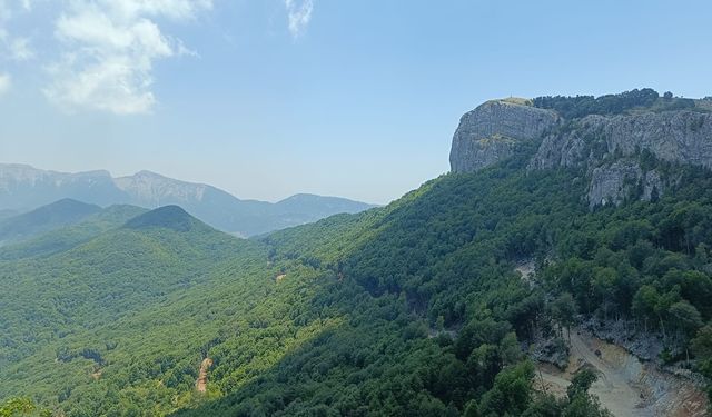 Dikkat! Hatay’da Ormanlara Girişler Yasaklandı…