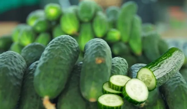 ABD’de salmonella alarmı! O salatalıklar toplatılıyor!