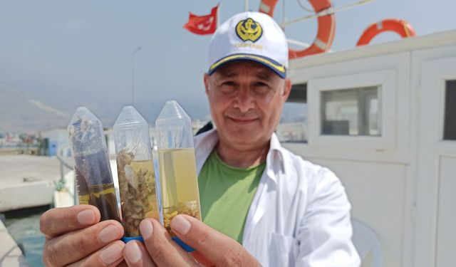 Akdeniz'in çöpleri ve canlıları mercek altında!