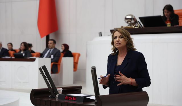 Kara: “342 Bin Hektar Orman Madenciliğe Tahsis Edildi”