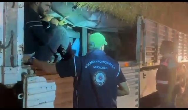 TIR'da Saman altından 31 göçmen çıktı!