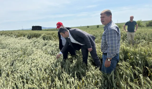 CHP Keşan AK Partilileri tarlaya davet etti!