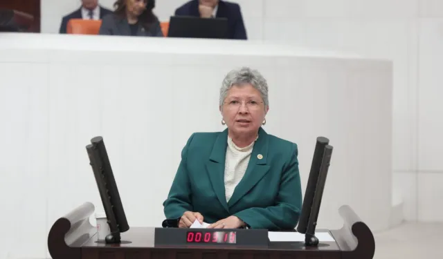 CHP Milletvekili Yontar: Vatandaş soruşturma tehdidiyle susturuluyor!