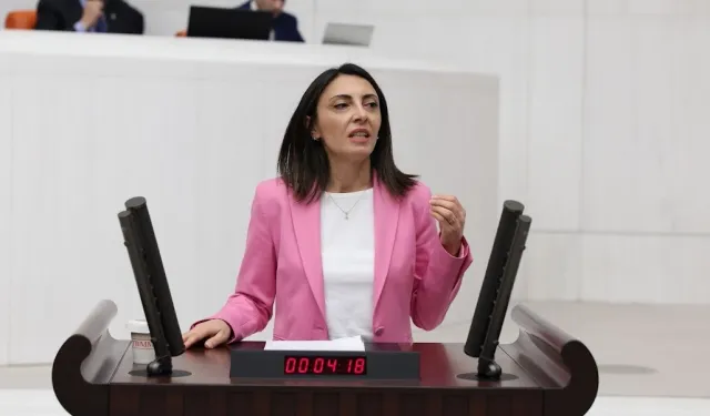 CHP’li Altaca Kayışoğlu’ndan TBMM'de sert eleştiri