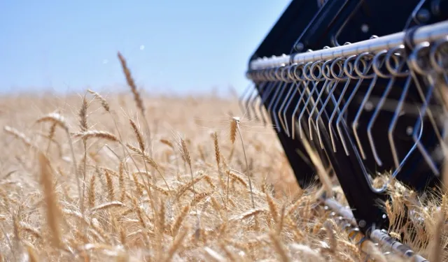 CHP'li Milletvekili Ün'den TMO’nun fiyatlarına sert tepki