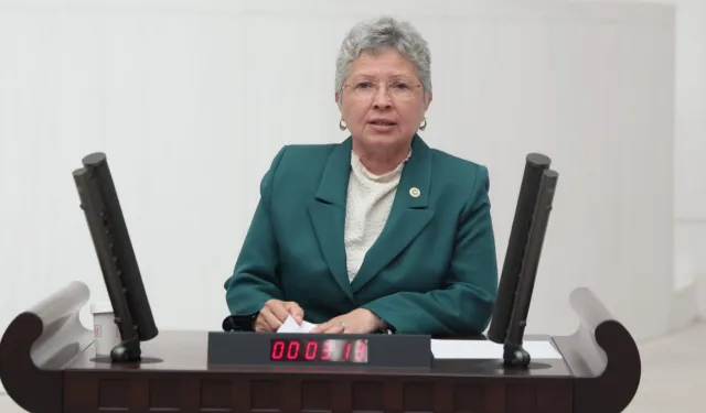 CHP’li Yontar’dan İklim Kanunu eleştirisi: Doğayı değil, sermayeyi kolluyor