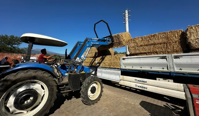 Büyükşehir'den yangın bölgesine yem desteği