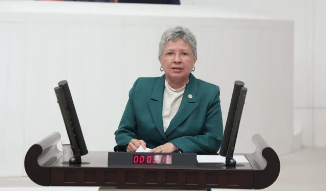 CHP’li Yontar: Zeytini kömüre feda etmek geleceğe ihanettir!