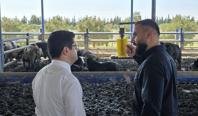 Arsuz'da Gençlere Modern Hayvancılık Desteği