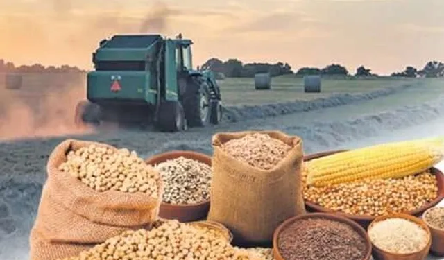 Tarımsal ürün fiyatları ve endekslerde yükseliş