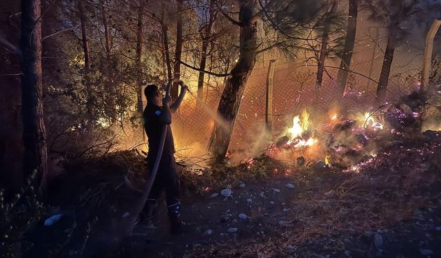 Arsuz’da Orman Yangını yayılmadan söndürüldü