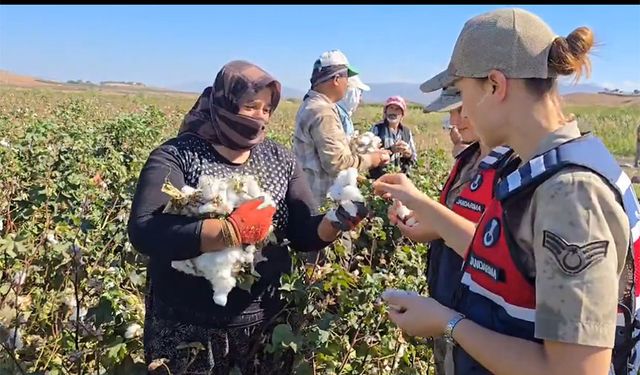 Jandarma Pamuk Tarlasında Kadın İşçilerle